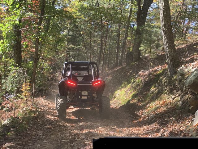 Outdoor adventure road trip in Asheville 