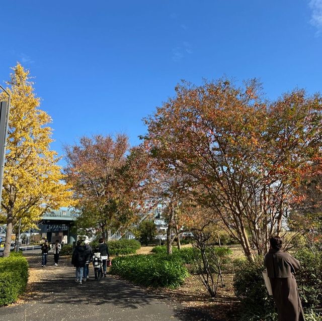 【横浜】冬のみなとみらい散歩