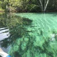 kayaking along rainbow river