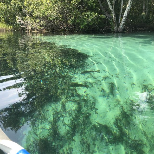 kayaking along rainbow river