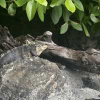 Manuel Antonio - Hiking trails 