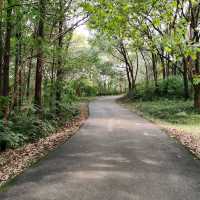 Shenshan Park(神山公园)