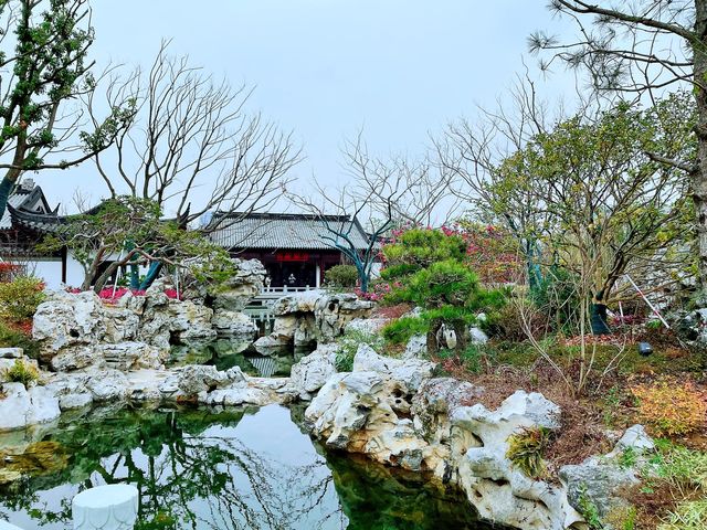 快来打卡黄浦江畔的江南园林