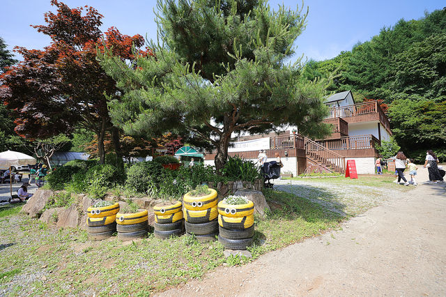 용인 한터조랑말농장 아이들과 자연에서 놀자