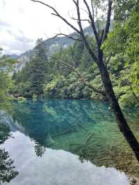 Jiuzhaigou, China- Breathtaking scenery!