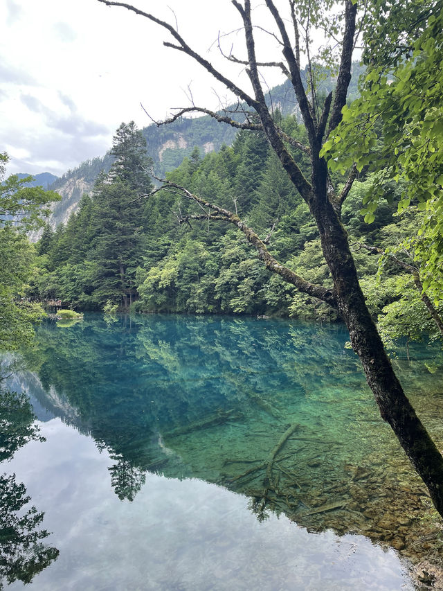 Jiuzhaigou, China- Breathtaking scenery!