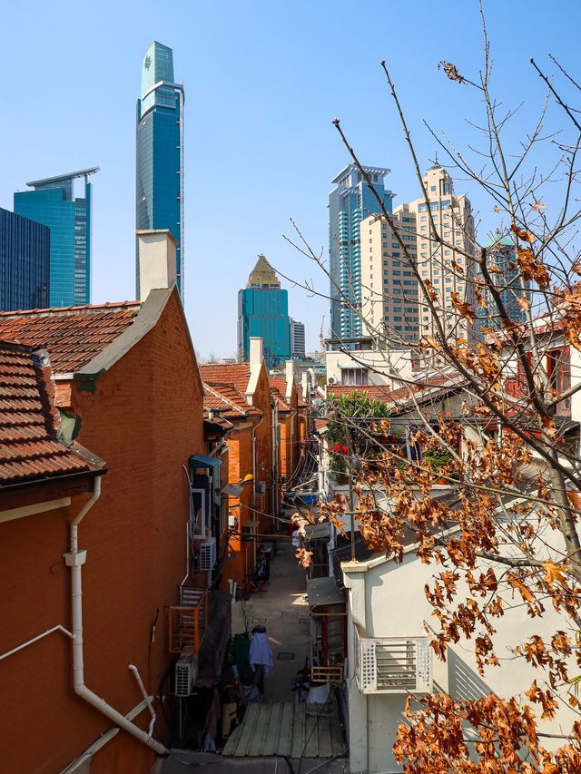 Jing’an Skyline along North Shaanxi Road🍁