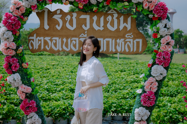 ไร่ชวนชิม สตรอเบอรี่มวกเหล็ก