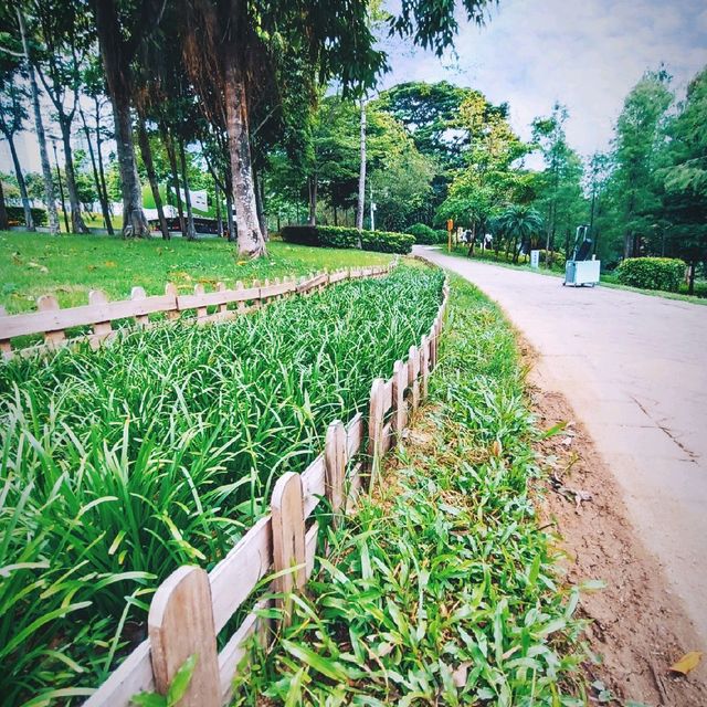 Sunday walk in Shenzhen Central park