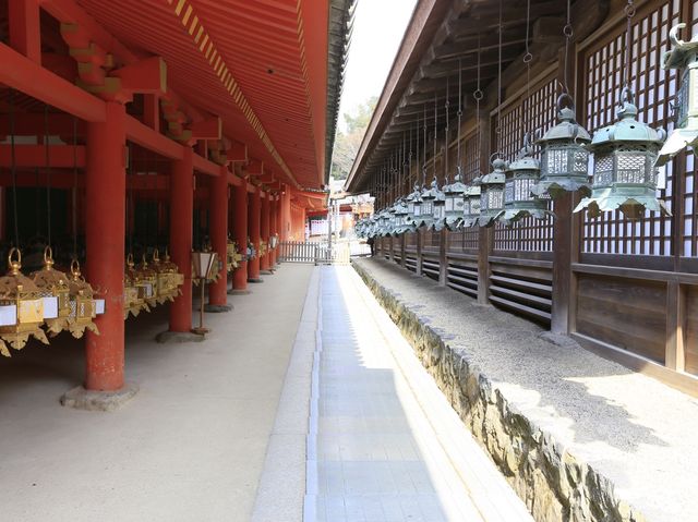 世界文化遺產日本春日大社