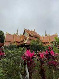 Visit the Dragons of Manzhang Village