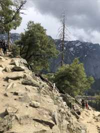 California | Yosemite National Park Photo Sharing 3