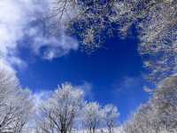 Japan's outdoor sports paradise ❄️ Romantic snow in Hakuba Village