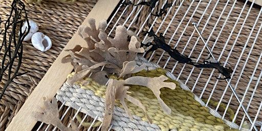 Natural Coastal Weaving with Le Petit Moose | Greyhope Bay Centre