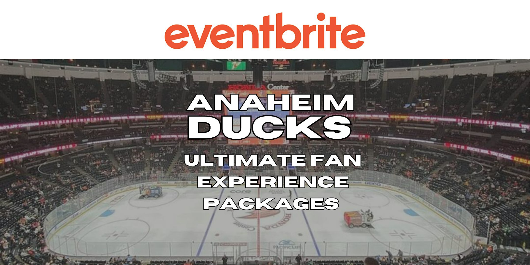 The Anaheim Ducks Ultimate Fan Experience | Honda Center