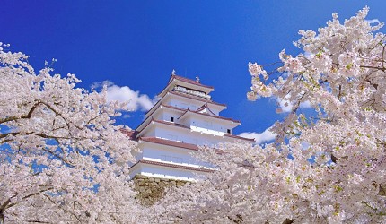 【2025日本櫻花季】東北人氣賞櫻景點推介：弘前公園、十和田官廳街通、小岩井農場、白石川堤一目千本櫻、鶴之城 | 東北地區