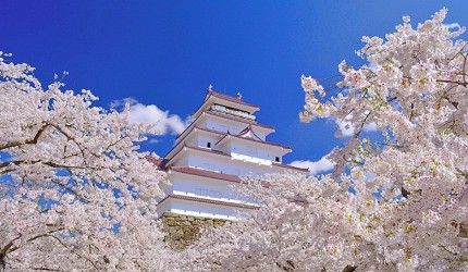 【2025日本櫻花季】東北人氣賞櫻景點推介：弘前公園、十和田官廳街通、小岩井農場、白石川堤一目千本櫻、鶴之城 | 東北地區