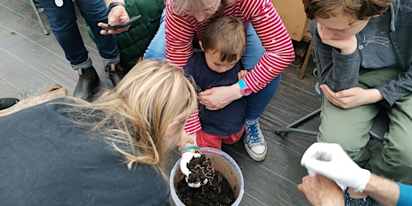 Workshop: Composting: steps to success | The Polytunnel at Vine Road Recreation Ground