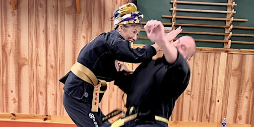 Rumiko Hayes Seminar 2026 | Cincinnati Quest Martial Arts