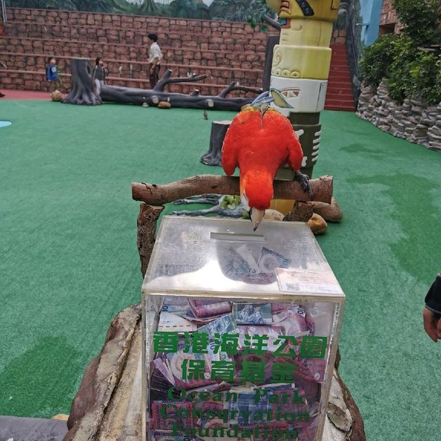 海洋公園動物show