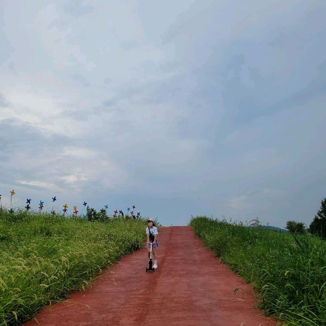 자전거타기 딱 좋은 길 [익산]