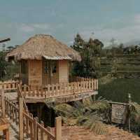 Matanai Coffee