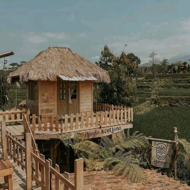 Matanai Coffee
