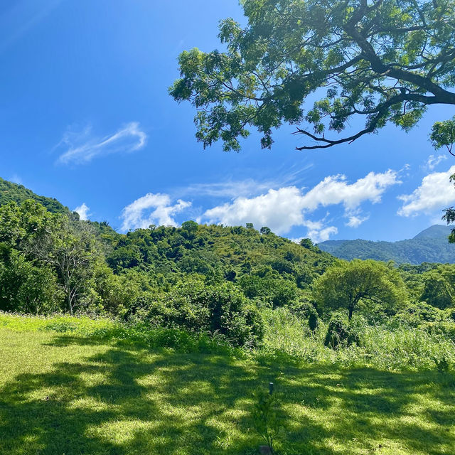空氣無限好🌬風景殺底片🎞～花蓮富里『六十石山金針花海』🌾