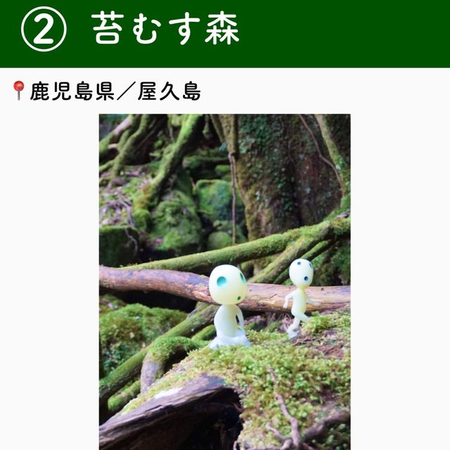 【鹿児島】行ってよかった屋久島の観光地6選