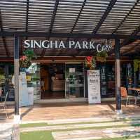 🌳 มาเชียงราย ต้องไปsingha park 🌳