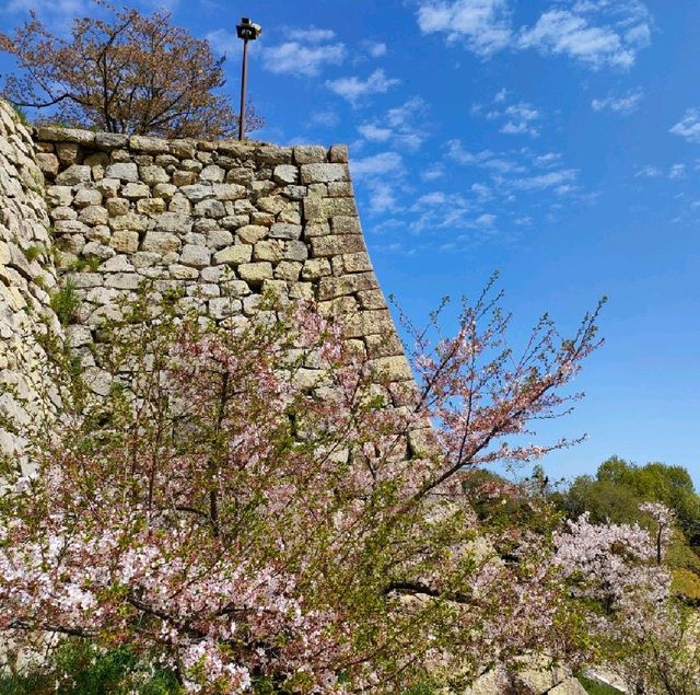 【兵庫 明石城跡展望台】最高の景色を見て✨✨✨