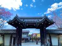 京都　SAKURA 桜めぐり❗️永観堂の桜に感動❗️