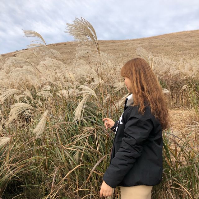 제주도 억새 명소 “새별오름”