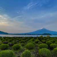 富士山を綺麗に見たいなら河口湖の岸北へGo!