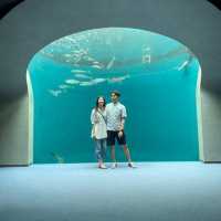 香川県にある四国水族館に行ってきた！🙋‍♀️