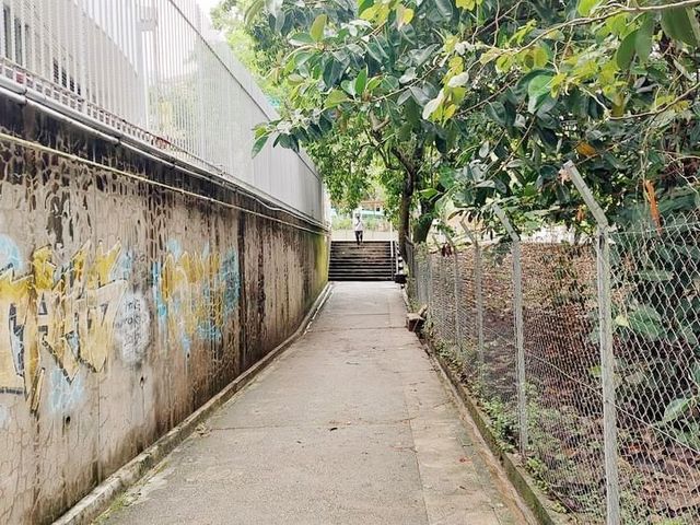 港島最佳郊遊路線