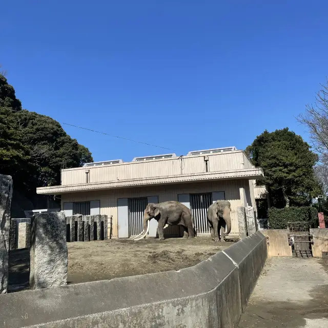 金沢動物園！大きな滑り台の公園もあるよ！