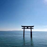 【滋賀県】近江最古の大社でパワーチャージ⛩