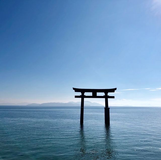 【滋賀県】近江最古の大社でパワーチャージ⛩