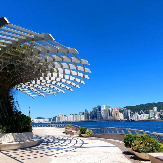 維港觀賞地方