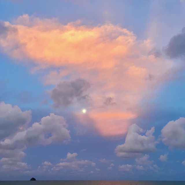 호주 퀸즐랜드 야자수 해변, 팜코브🏝의 선셋✨