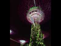 Colorful, Giant “Trees” at Gardens By The Bay