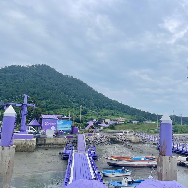 전남 신안의 퍼플섬 !! 보라보라마을 💜💜💜