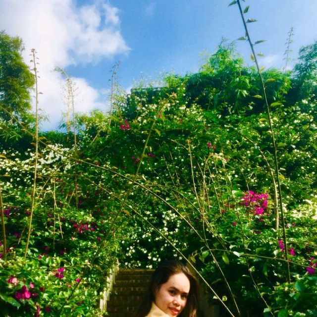 Flower Valley Tay Ho