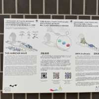 東岸公園主題區尋找指鹿為馬