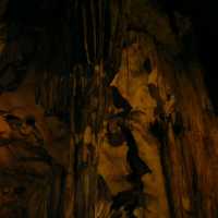 Gua Tempurung or Tempurung Cave