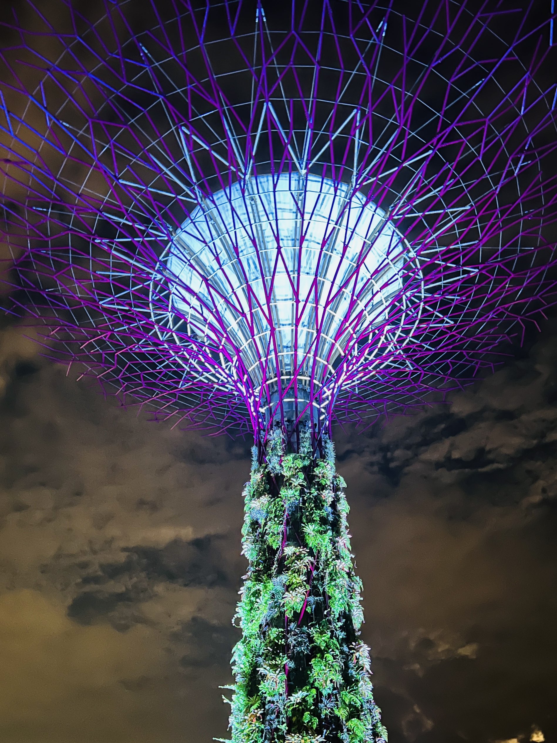 Singapore's Gardens by the Bay Light show | Trip.com Singapore