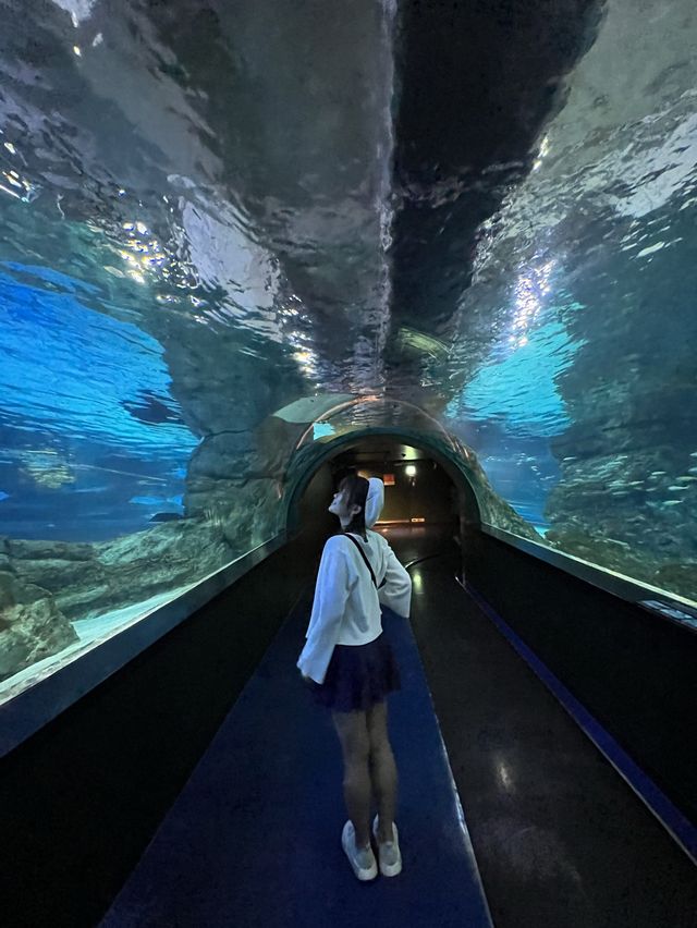 韓劇《聽見你的聲音》拍攝地點🤟Coex水族館