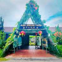 Explore Balik Pulau