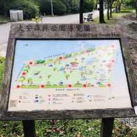 風光明媚🪷🌤Daan Forest Park 大安森林公園